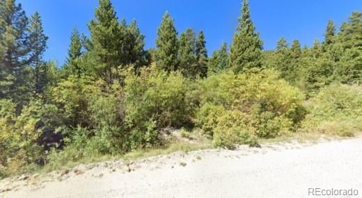Lot 47 Silver Creek Rd, Idaho Springs, CO 80452