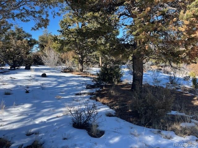 Lot 7898 Tiernan Rd, Fort Garland, CO 81133