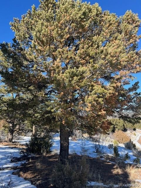 Lot 7898 Tiernan Rd, Fort Garland, CO 81133