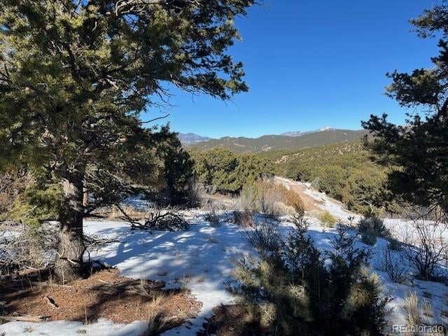Lot 7898 Tiernan Rd, Fort Garland, CO 81133