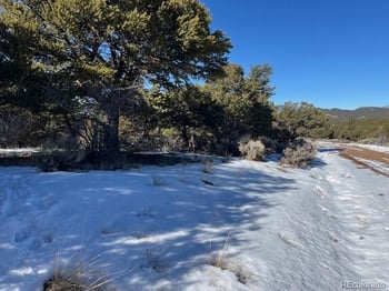 Lot 7898 Tiernan Rd, Fort Garland, CO 81133