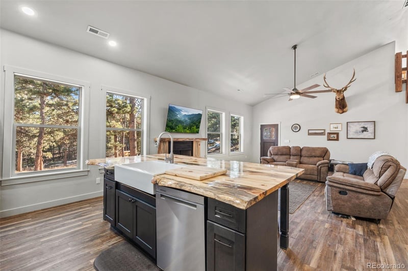 2270 Pikes Peak Dr, Florissant, CO 80816