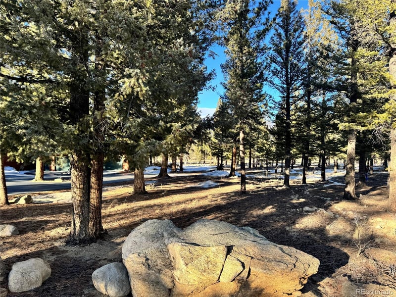 30470 Harvard Cir, Buena Vista, CO 81211