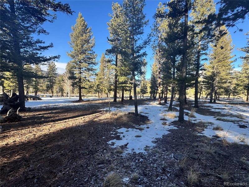 30470 Harvard Cir, Buena Vista, CO 81211