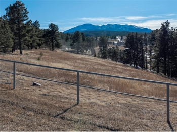 231 Forty Rd, Woodland Park, CO 80863