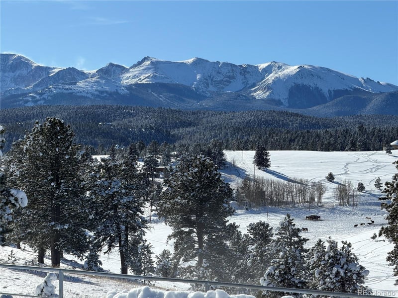 231 S Forty Rd, Woodland Park, CO 80863