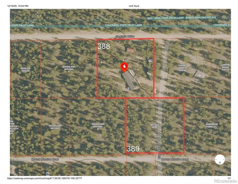 388 Sequoia Dr, Twin Lakes, CO 81251