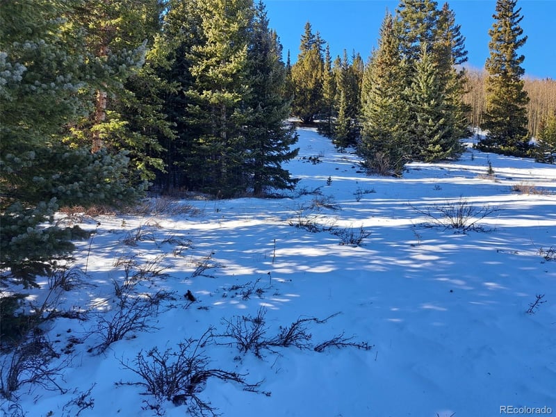 3553 River Dr, Alma, CO 80420