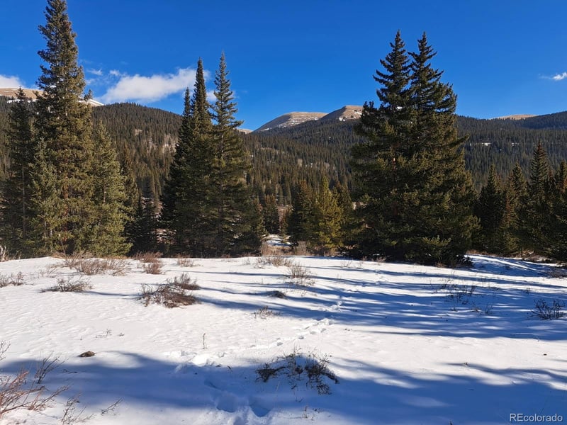 3553 River Dr, Alma, CO 80420