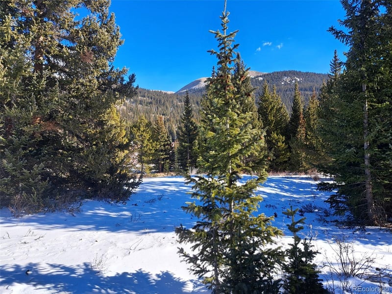 3553 River Dr, Alma, CO 80420