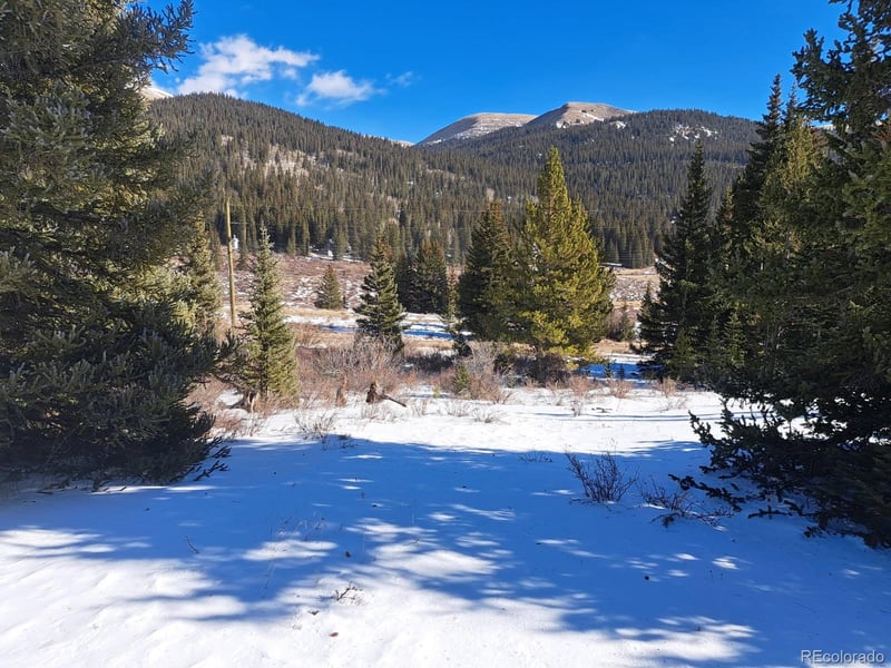 3553 River Dr, Alma, CO 80420