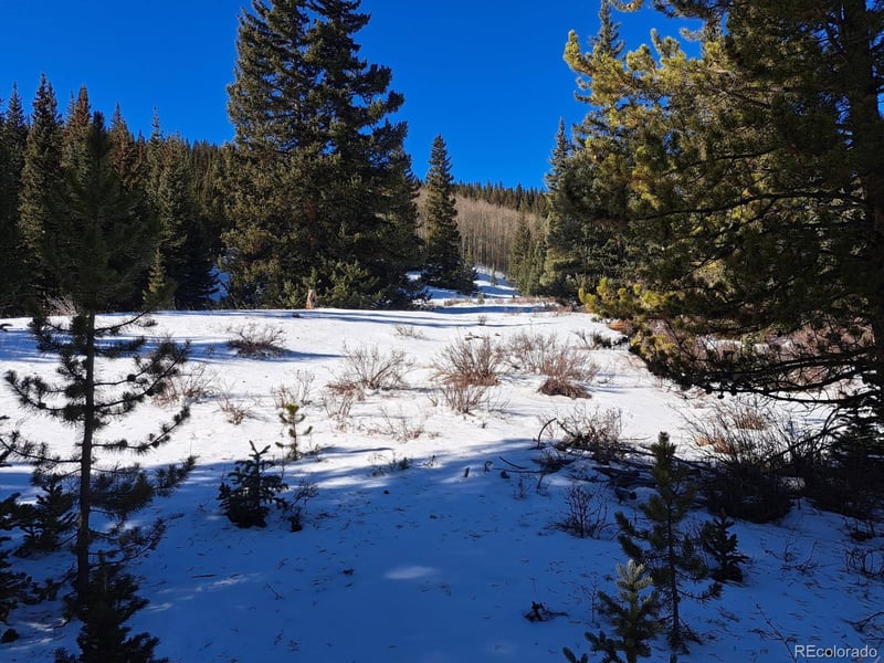 3553 River Dr, Alma, CO 80420