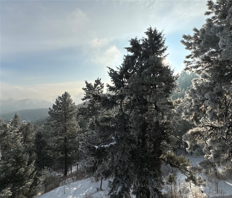 5312 Adahi Rd, Indian Hills, CO 80454