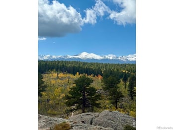 187 Lynx Dr, Ward, CO 80481