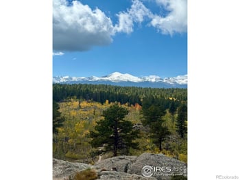 187 Lynx Dr, Ward, CO 80481