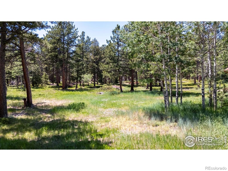 187 Lynx Dr, Ward, CO 80481
