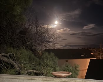 7752 Halleys Dr, Littleton, CO 80125