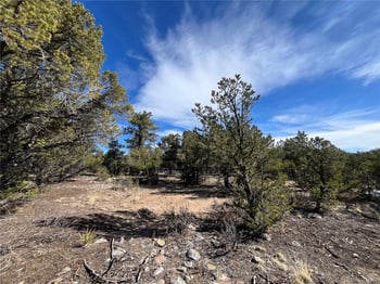 29274 Lakota Ln, Buena Vista, CO 81211