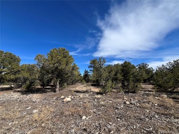 29274 Lakota Ln, Buena Vista, CO 81211