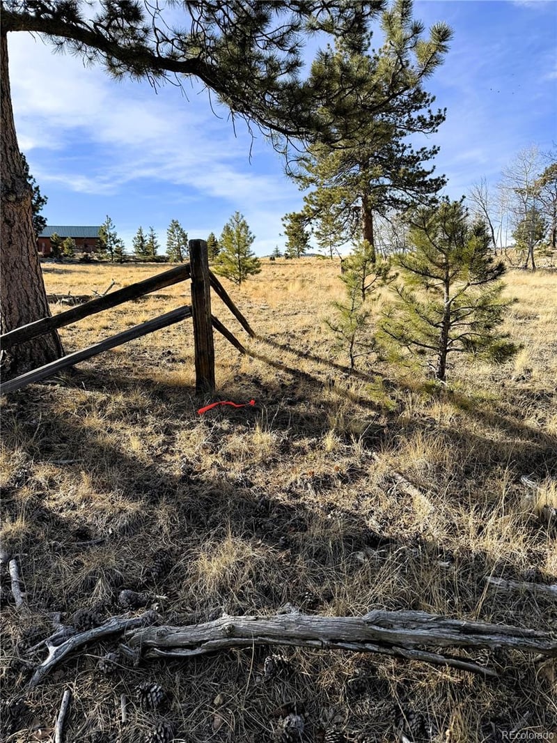 620 Wagon Wheel Rd Lot 624, Hartsel, CO 80449