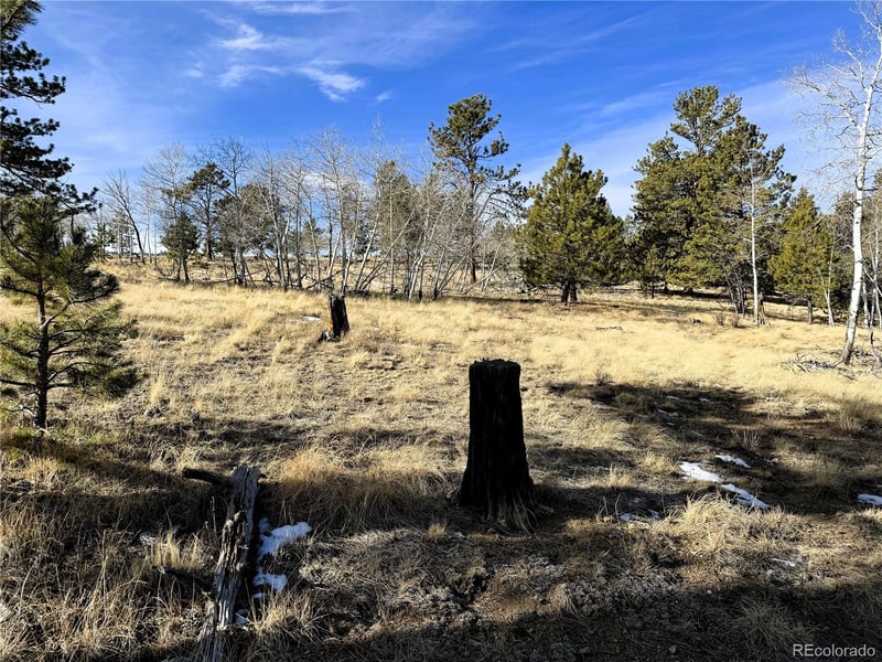 620 Wagon Wheel Rd Lot 624, Hartsel, CO 80449