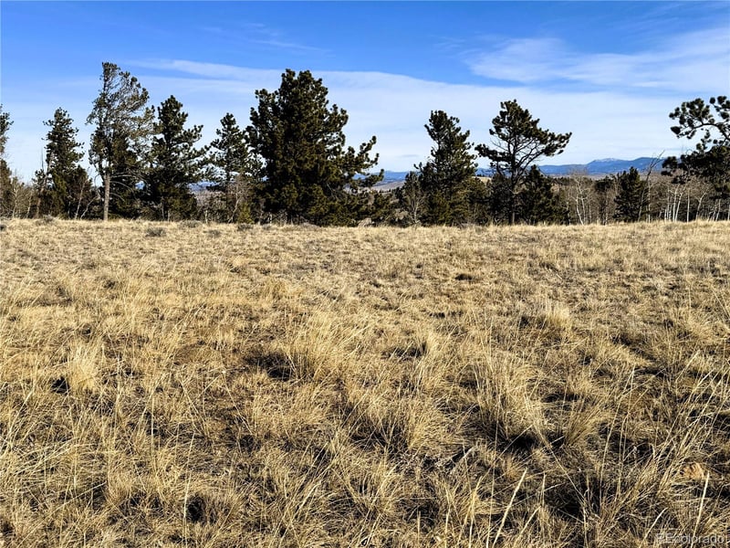 620 Wagon Wheel Rd Lot 624, Hartsel, CO 80449