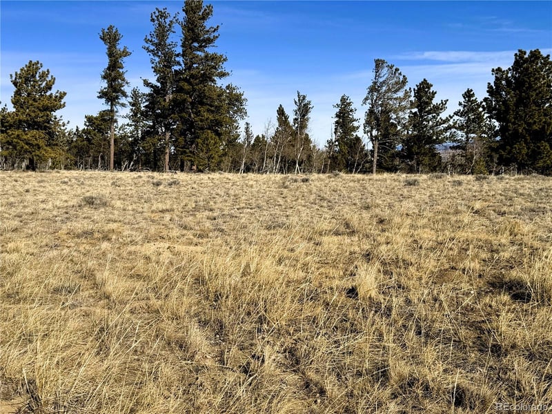 620 Wagon Wheel Rd Lot 624, Hartsel, CO 80449