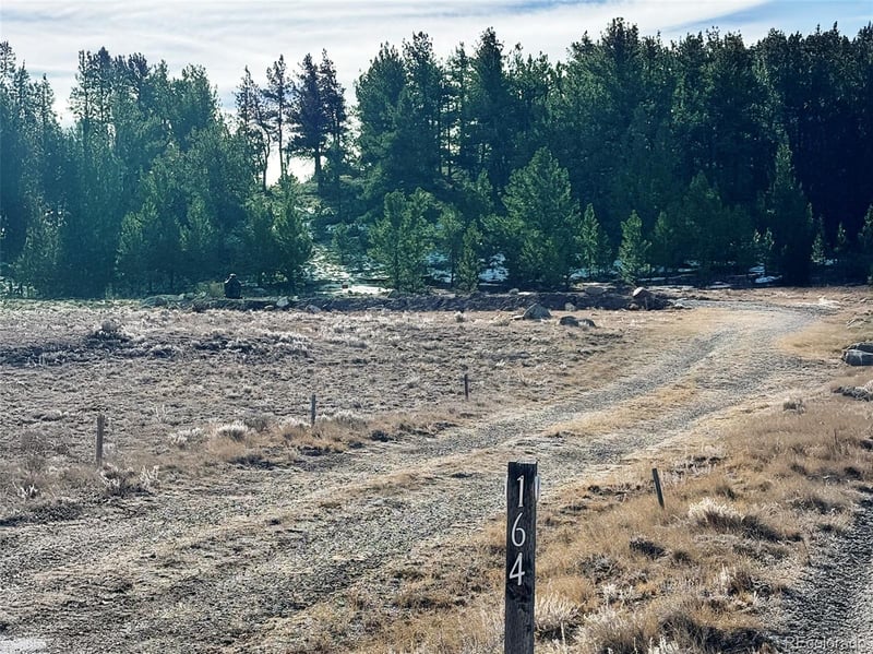164 Lazy Cir, Hartsel, CO 80449