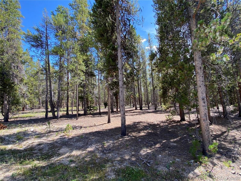 349 Augusta Dr Lot 47, Leadville, CO 80461