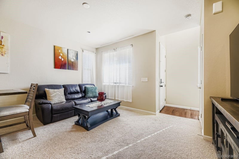 18071 French Creek Ave, Parker, CO 80134