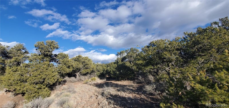 Lot 1057 Hotchkiss Rd Lot 1057, Fort Garland, CO 81133