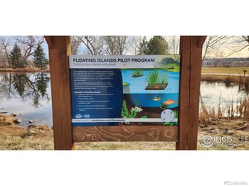 924 Larch Dr, Windsor, CO 80550