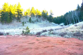 637 Valley Rd, Divide, CO 80814