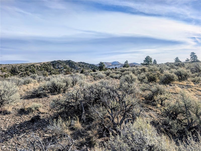 Lot 4822 Spencer Rd, Fort Garland, CO 81133