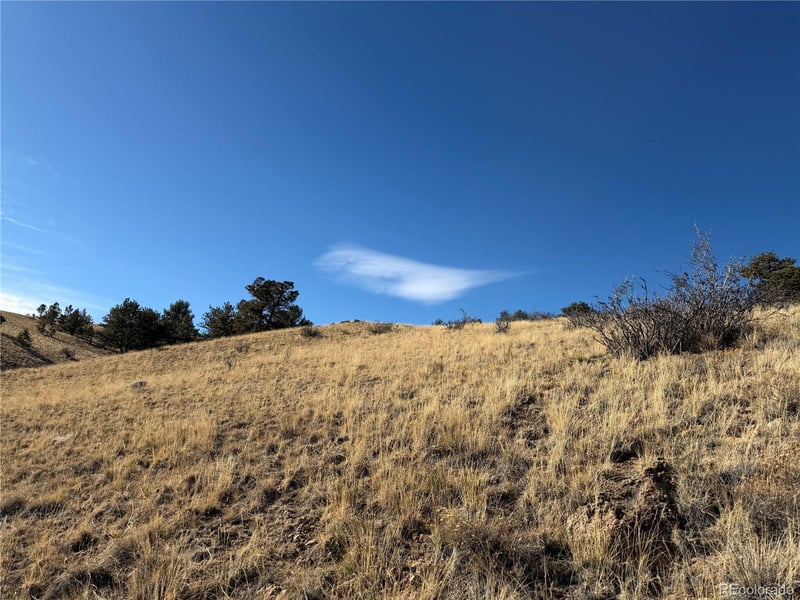 Oak St, Hartsel, CO 80449