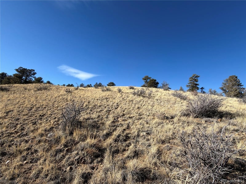 Oak St Lot 16, 17, 18, 23, 24, 25, Hartsel, CO 80449