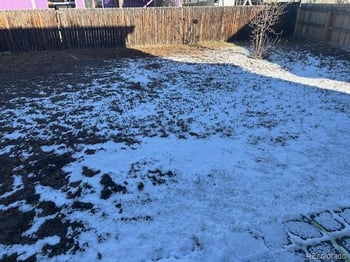 5425 100th Dr, Thornton, CO 80229