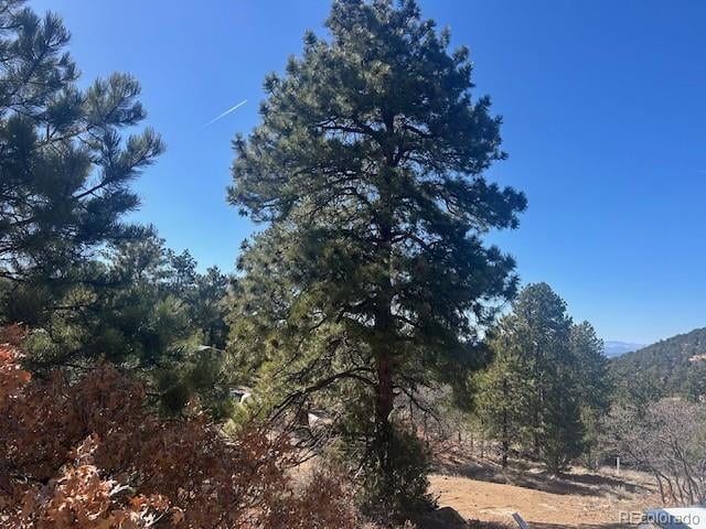 98 Discovery Dr Lot 47, Westcliffe, CO 81252