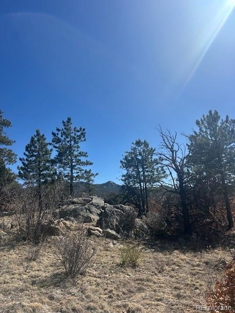 98 Discovery Dr Lot 47, Westcliffe, CO 81252