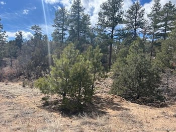 143 Ive Pl, Cotopaxi, CO 81223