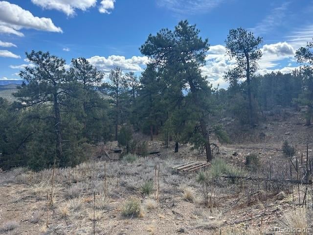 143 Ive Pl Lot 338, Cotopaxi, CO 81223