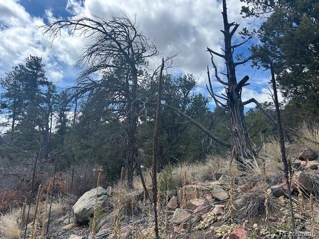 143 Ive Pl Lot 338, Cotopaxi, CO 81223
