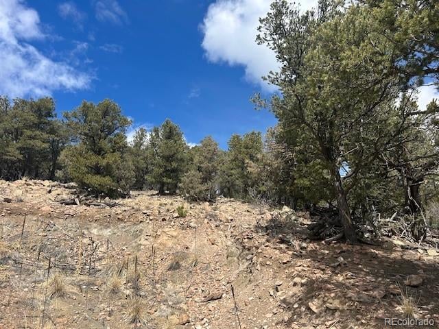 143 Ive Pl Lot 338, Cotopaxi, CO 81223