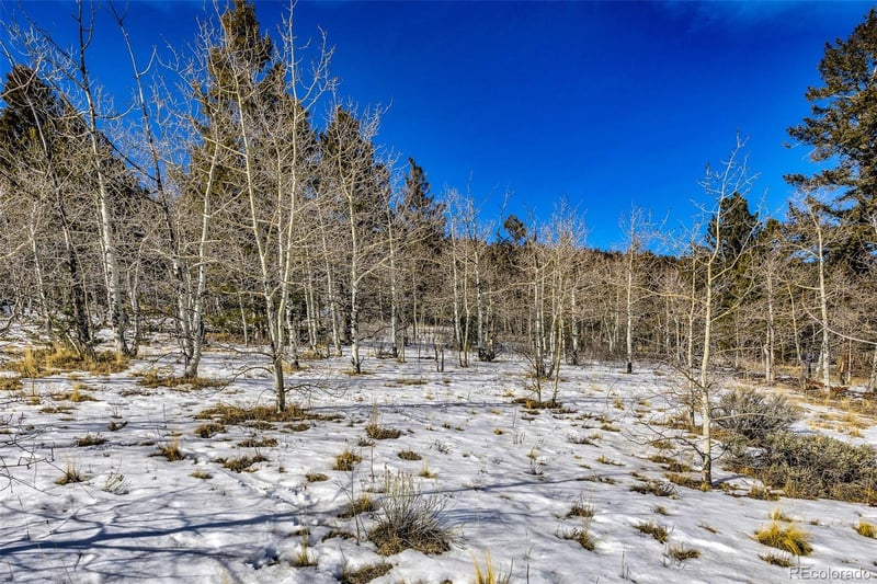 2996 Redhill Rd Lot 448, Fairplay, CO 80440