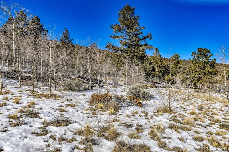 2996 Redhill Rd Lot 448, Fairplay, CO 80440