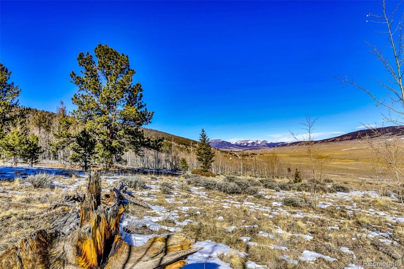 2996 Redhill Rd Lot 448, Fairplay, CO 80440