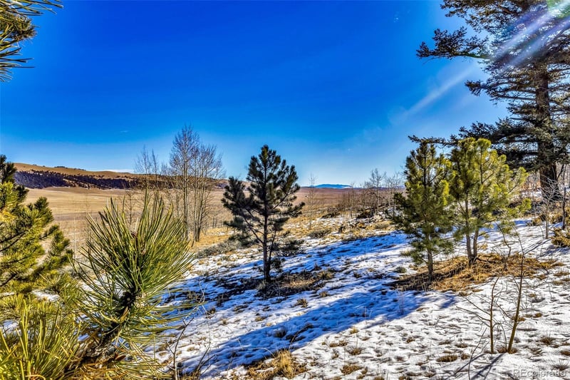 2996 Redhill Rd Lot 448, Fairplay, CO 80440