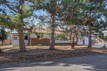 8321 Ammons St, Littleton, CO 80128