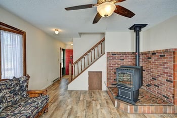 15245 Cr 353 , Buena Vista, CO 81211