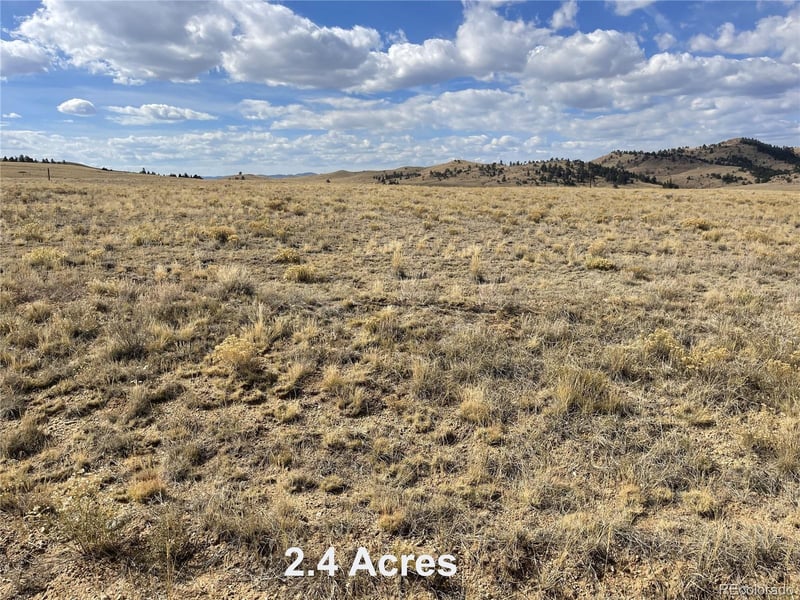 14461 Chickasaw Rd, Hartsel, CO 80449